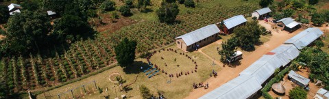 The School farm